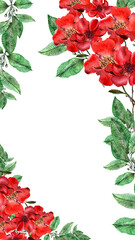 Watercolor frame with red flower, pansies and green meadow plants