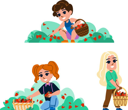 s picking strawberries kid vector