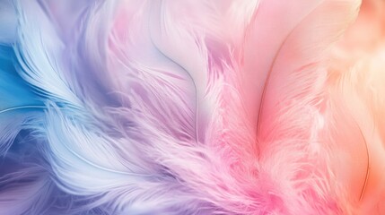 Soft pastel feathers in a dreamy arrangement.