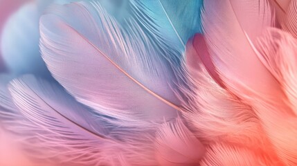 Obraz premium Soft pastel feathers, a delicate texture.