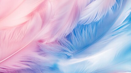 Obraz premium Soft pastel feathers in pink and blue.