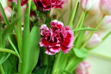 a bouquet of colorful roses and tulips