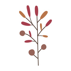 Red berry on a branch with leaves