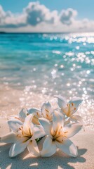 White flowers resting on the sand beside shimmering ocean waters