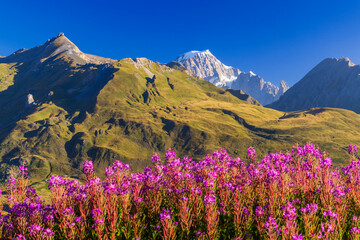 Landscape near Col du Petit-Saint-Bernard with Mont Blanc, on border France and Italy