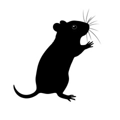Shadow Play: A sleek black silhouette of a curious rat, paws outstretched, against a clean backdrop.