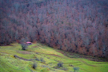 Small red cabin in lush valley with barren autumn forest hillside under misty sky.  Leafless trees...