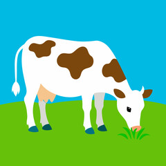 Milk cow grazing in pasture eating grass vector illustration 