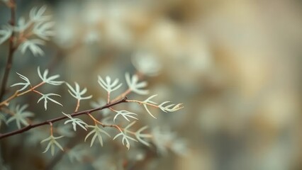 Soft focus on a scattering of skeletal leaves, dreamy, muted, macro