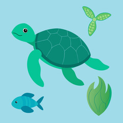 Sea turtle aquarelle set side front top view vector illustration