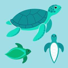 Sea turtle aquarelle set side front top view vector illustration