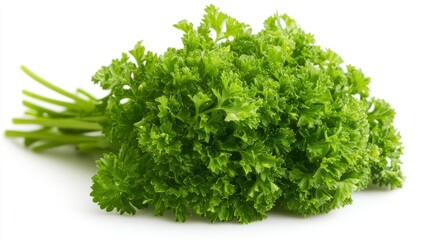 Fototapeta premium Fresh curly parsley on white background showcasing vibrant green leaves with detailed texture, ideal for culinary presentations, organic food concepts, and healthy eating visuals