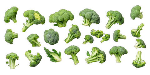 A row of broccoli is shown in various sizes and shapes