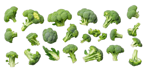 A row of broccoli is shown in various sizes and shapes