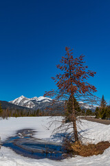 Winterlandschaft im Rocky Mountain Nationalpark