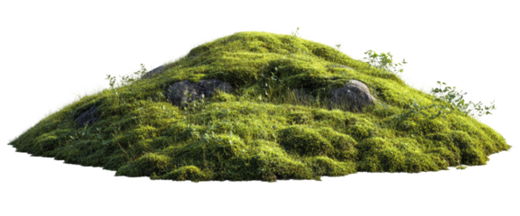 Isolated Moss-Covered Mound with Rocks