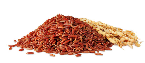 pile of red rice with ears isolated on white background