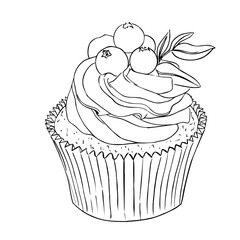 Coloring book muffin with blueberries and cream. Vector illustration