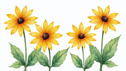 Naklejka premium watercolor digital design illustration black eyed susan clipart watercolor