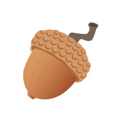 Acorn in cartoon flat style isolated