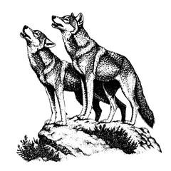 Naklejka premium Courageous wolves howling atop a rocky perch at sunset, capturing the spirit of wilderness and freedom in a vector illustration