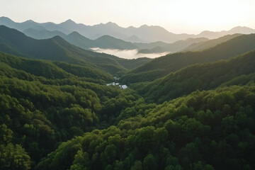 Obraz premium Verdant Mountain Valley