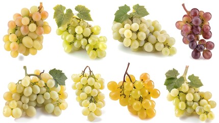 A single grape is isolated on a clean white background, with a clipping path precisely applied to outline its shape. The image showcases a full depth of field, ensuring that the grape's texture and 