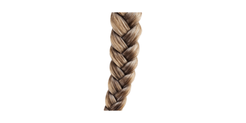 Blonde braid hair pattern isolated on transparent background
