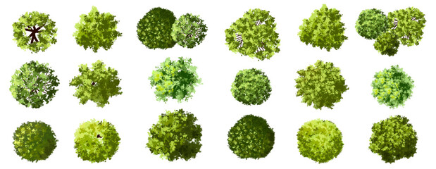 Vector set of Top view green tree for outdoor plan or map and architecture drawing, elements for environment and garden ,botanical elements ,Blooming flowers in spring,tropical plants element