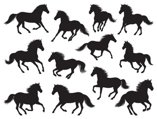 MUSTANGS SILHOUETTE WHITE BACKGROUND