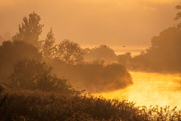 충남 부여군 백마강의 아침