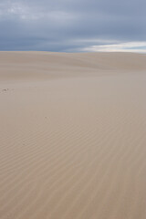 Sand dune landscape with rippled pattern.