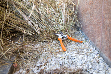 Pruning shears and straw in the garden. Selective focus.