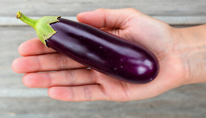 Eggplant vegetable image. eggplant vegetable wallpaper. eggplant on palm hand wallpaper