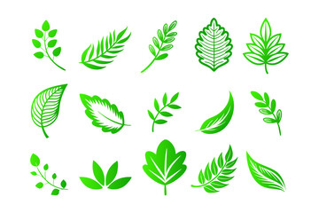Leaf icon set on white background, green color. design illustration