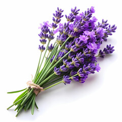 Fototapeta premium lavender flowers isolated on white background