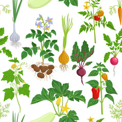 vector drawing seamless pattern with plants and root vegetables with green leaves, flowers and fruits at white background, hand drawn illustration