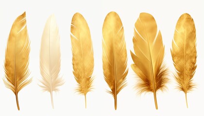 blue orange gold green purple pink brown silver feather isolated on white