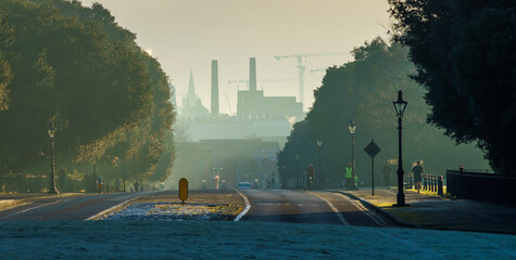 The Phoenix Park early in the morning