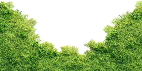 Aerial view of lush green hillside edges against transparent background