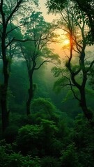 Green hues of dawn creep over a mystical forest, green, lime