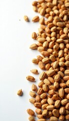 Brown seeds and dry husks scattered on white surface, dry husks, farm