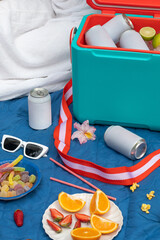  blank drink can out of thermo box on picnic