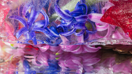 abstract watercolor style macro background frozen hyacinth flowers in ice water and their reflection on mirror