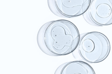 Skin serum or body gel in a Petri dish. Cosmetic product