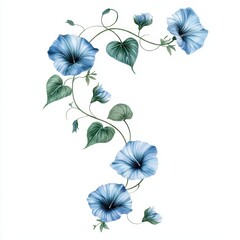 Elegant Blue Floral Vine Illustration on White Background