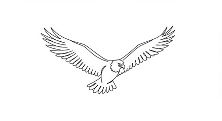 Fototapeta premium Simplified and Stylized Eagle Line Drawing