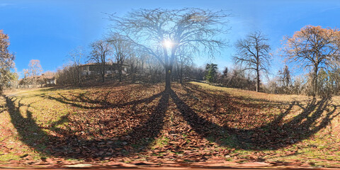 A breathtaking 360 HDRI panorama of an outdoor woods scene in spring, featuring lush green trees, vibrant foliage, and soft natural light filtering through the canopy. 