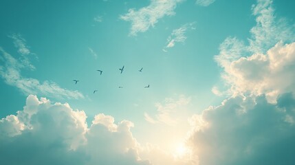 Azure summer sky with distant birds flying, surrounded by dreamy fluffy clouds 