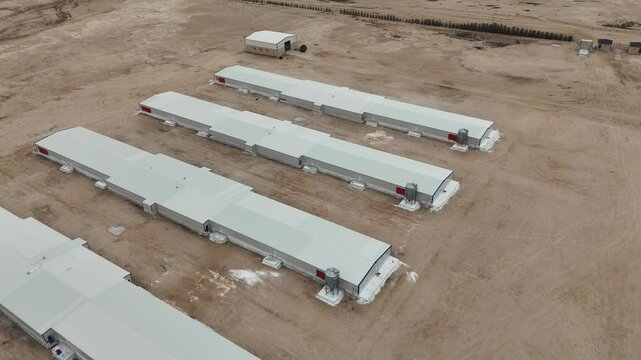 poultry farm in the desert